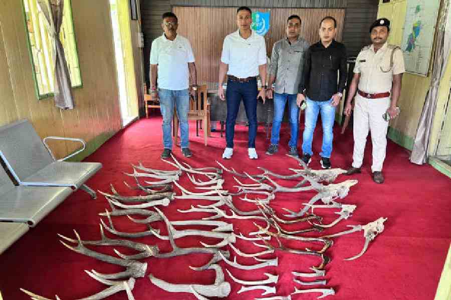 Forest Department Plans Major Wildlife Body-Part Destruction Event