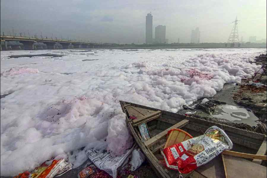 Heavy metals in Yamuna vegetables raise food safety concerns