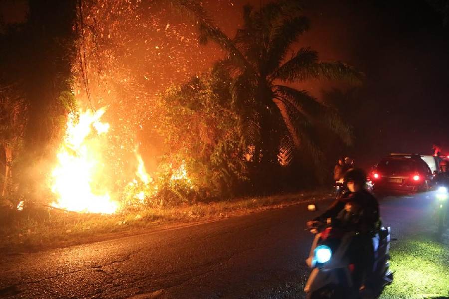 Record El Nino Threatens Global Food Security