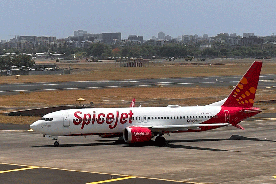 aidu said the ministry was continuously engaging with the airline, but there were limits ​to how far the government could intervene in a privately-run airline