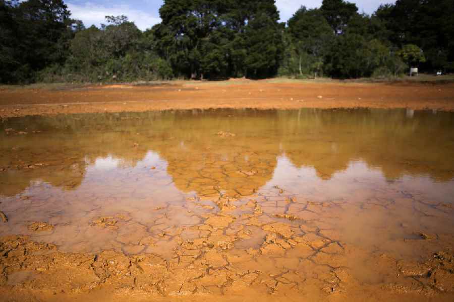 Super El Niño Threatens Deaths, Crop Losses and Extreme Weather