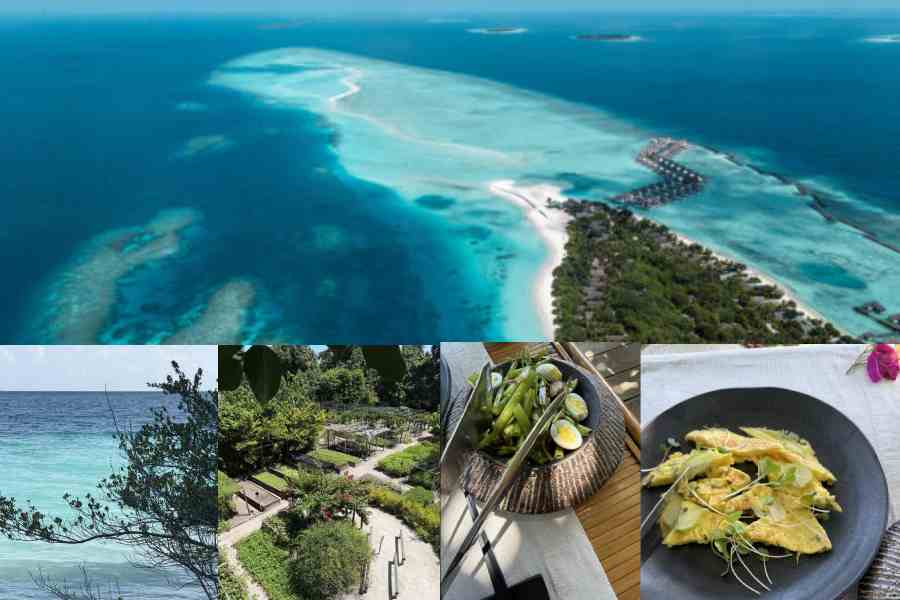 Maldives Resorts Offer Solitude, Conservation And Wellness Experiences