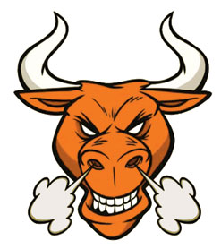 BJP EATS HUM -BULL PIE - Telegraph India