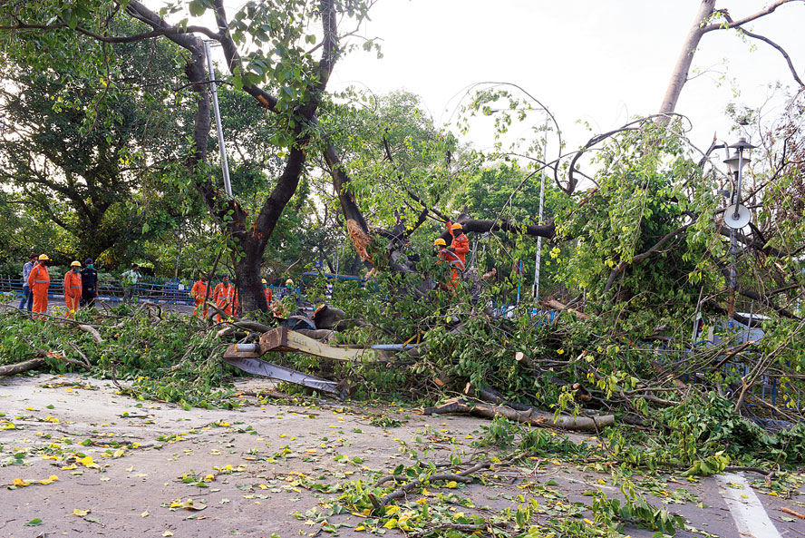 Branches of uprooted trees being removed from a road near Birla Planetarium on Wednesday