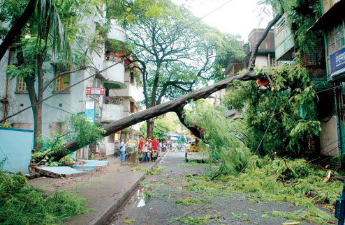 Girl And Parents Die Of Electrocution - Telegraph India