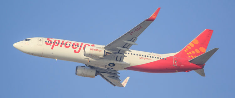 SpiceJet has grounded 12 planes