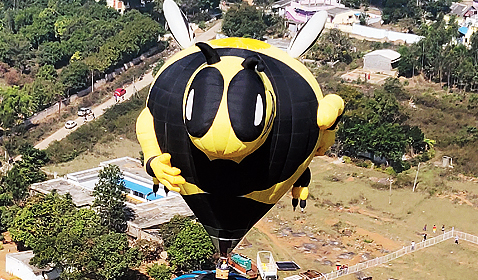 Bumble Bee: Francisco Naccaratio from Brazil was in control of this balloon.