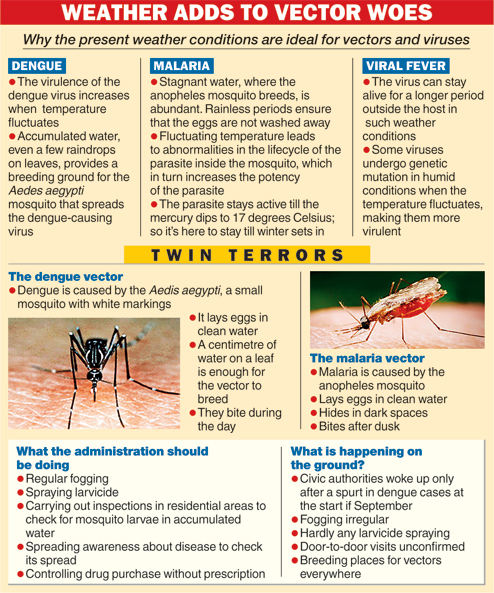 School as seat of virus spread - Telegraph India