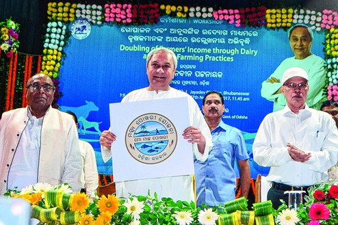Fish Scheme Fish scheme takes off - Telegraph India