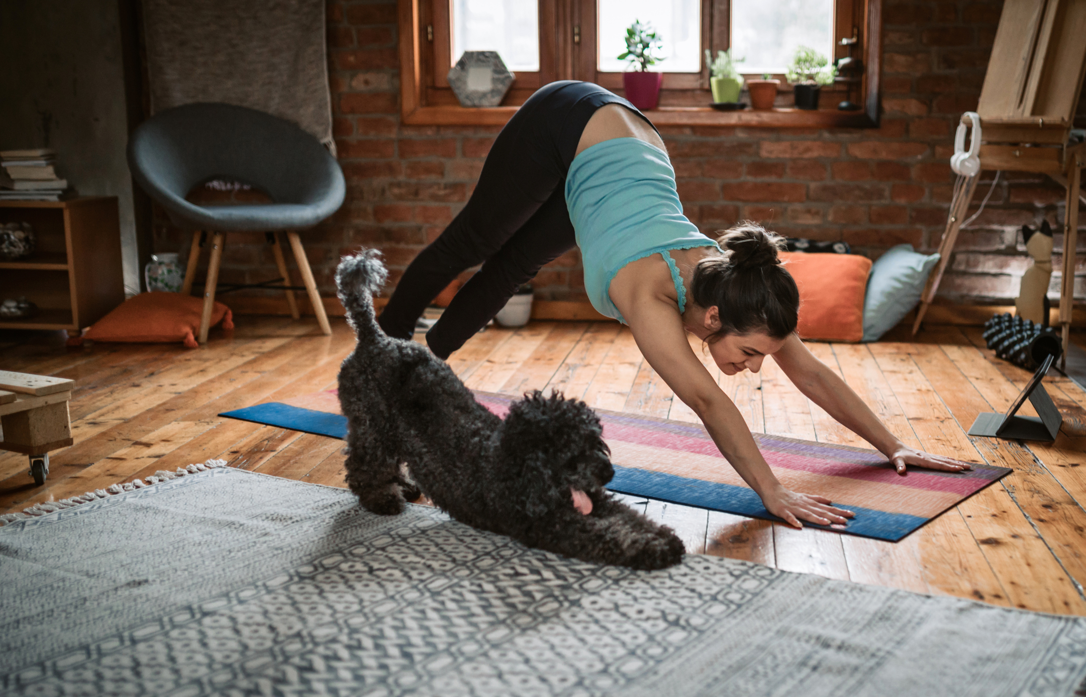 Doga or yoga with your favourite canine