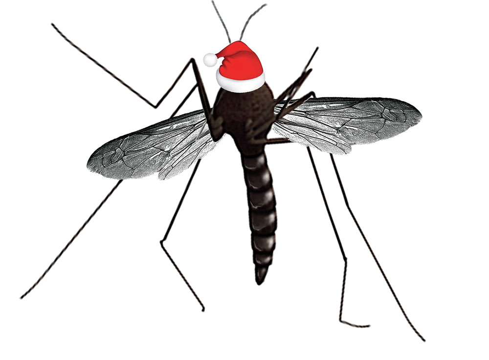 Santa Claws: For modern mosquitoes, it's Merry Christmas all year round