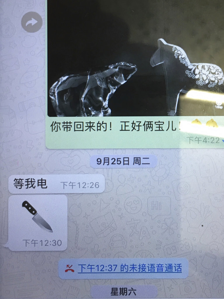This photo shows the last message sent by Meng Hongwei to his wife Grace. The message at 12:26 on September 26 says “wait for my call”. Four minutes later, he sent the photo of the knife. Earlier that day, she had sent him a photo of two animal figurines, one of a bear and another of a horse, meant to represent their two children; one of them loves horses, she said, and the other “looks like the bear”.
