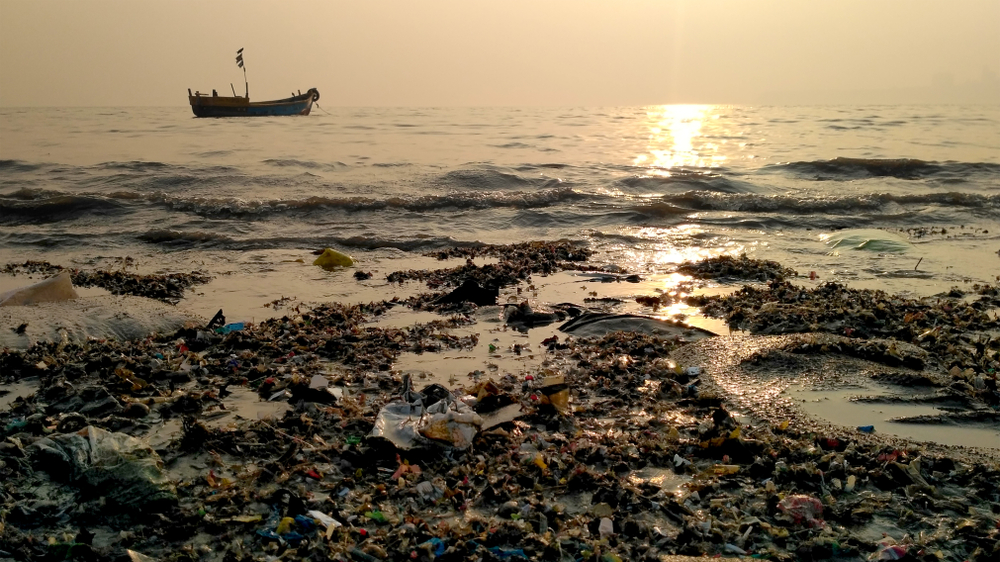 By 2050 the sea may have more plastic than fish