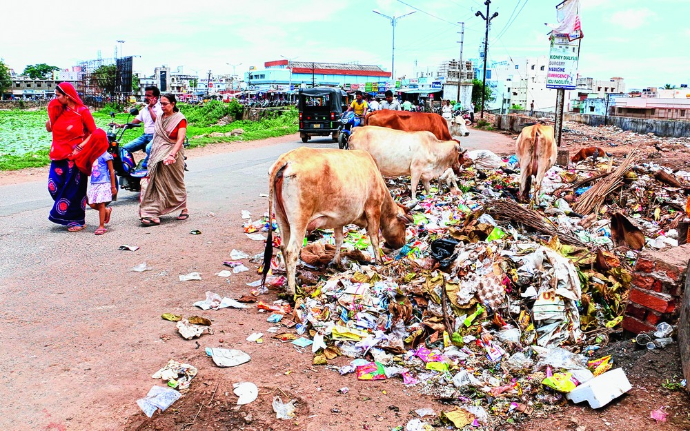 Pay fee for waste disposal - Telegraph India