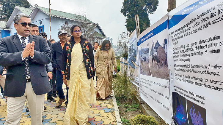 Darjeeling DM Deepap Priya P at the workshop on the animal’s rearing