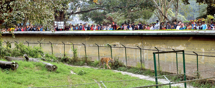 Alipore zoo