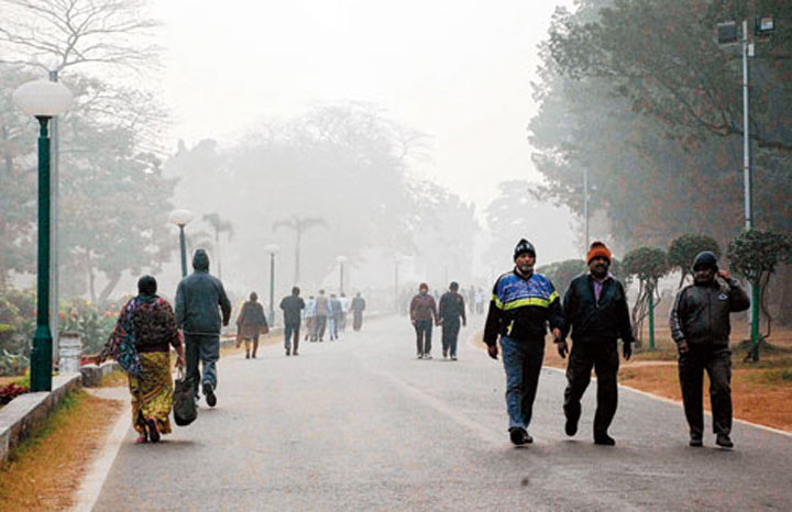 In Jamshedpur, too, the Celsius has been on a plummeting spree. The local observatory on Wednesday recorded a minimum of 14.6°C against Tuesday’s 17.2°C. The reading on Wednesday was three notches below the average normal. 
