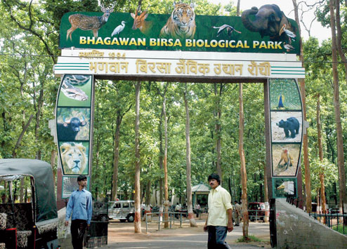 Abattoir heat on Birsa zoo - Telegraph India