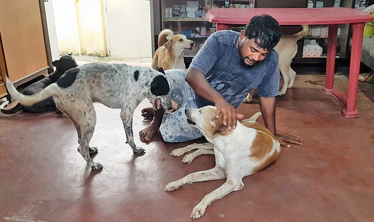 Sector V | Beleghata youth sets up animal shelter behind Sector V -  Telegraph India