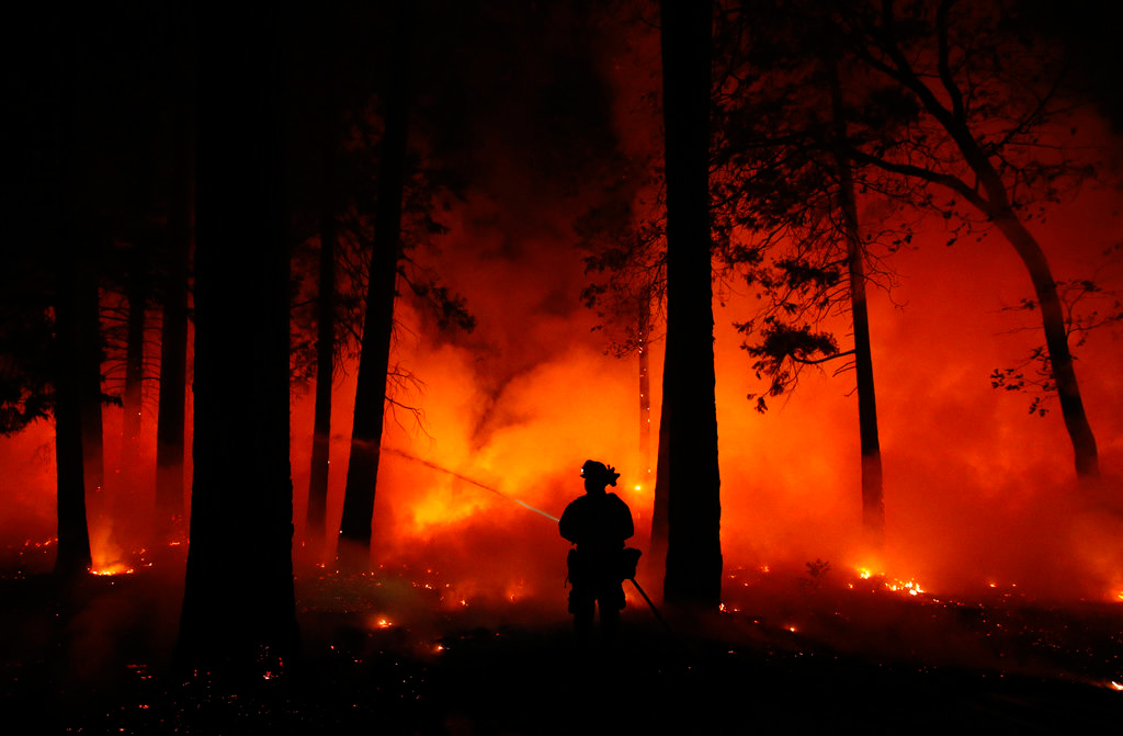 A firefighter sprays water on a controlled burn at a wildfire on Friday in Magalia, California