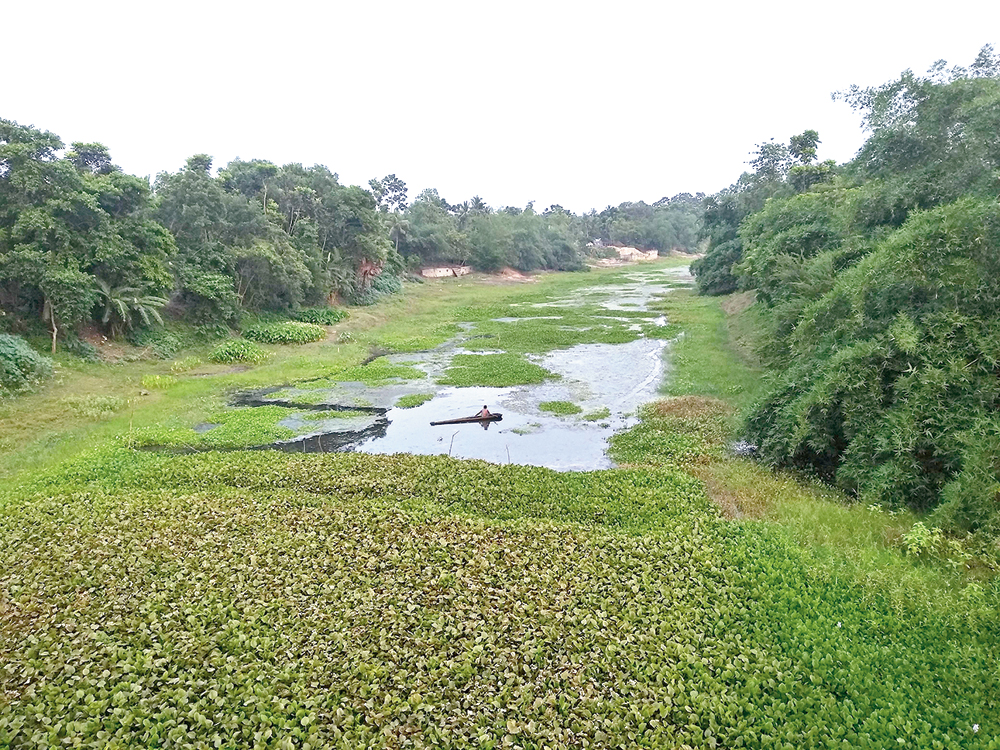 Dying — Ichhamati: A 284-kilometre long trans-boundary river. Two lakh people live along its shores, it feeds over 25 streams and canals. But does it look like it?