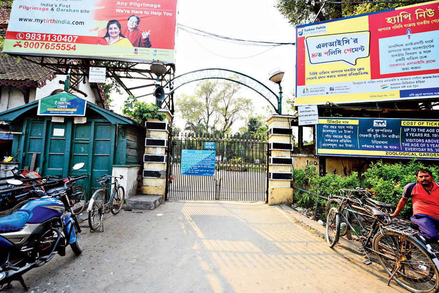 Alipore zoo closed for public in the wake of coronavirus pandemic on Tuesday. 
