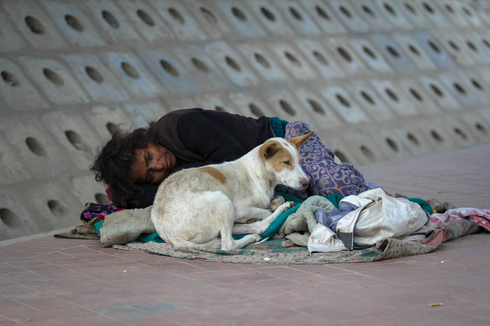 Homeless in city of birth: 3 out of 5 Indians without roof not migrants