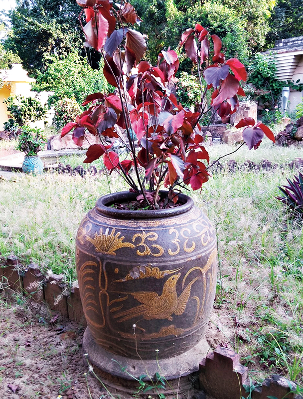 A porcelain vase at the Uttarayan complex in Santiniketan.