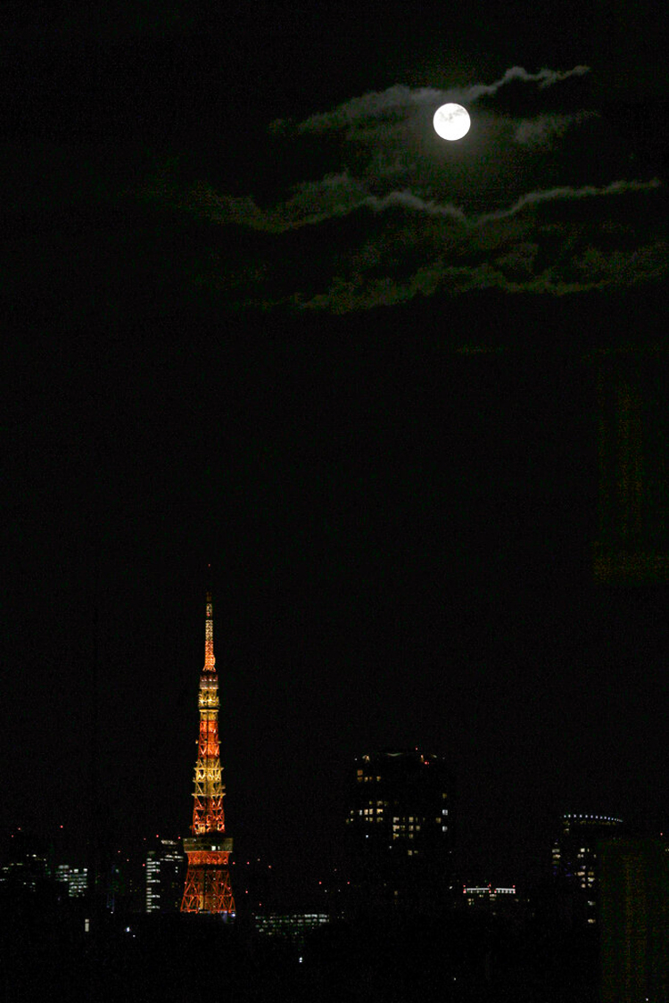 The full moon rises over Tokyo Tower on December 12