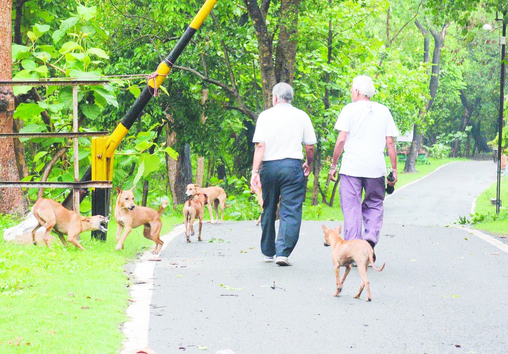 are dogs allowed in parks in india