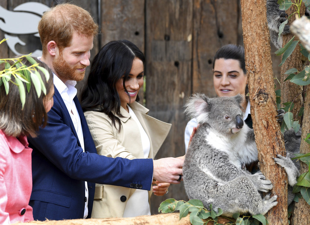 Harry and Meghan meet Ruby a mother Koala who gave birth to koala joey called Meghan and a second joey named Harryat the Taronga Zoo in Sydney.