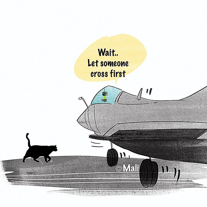 The Rafale meme