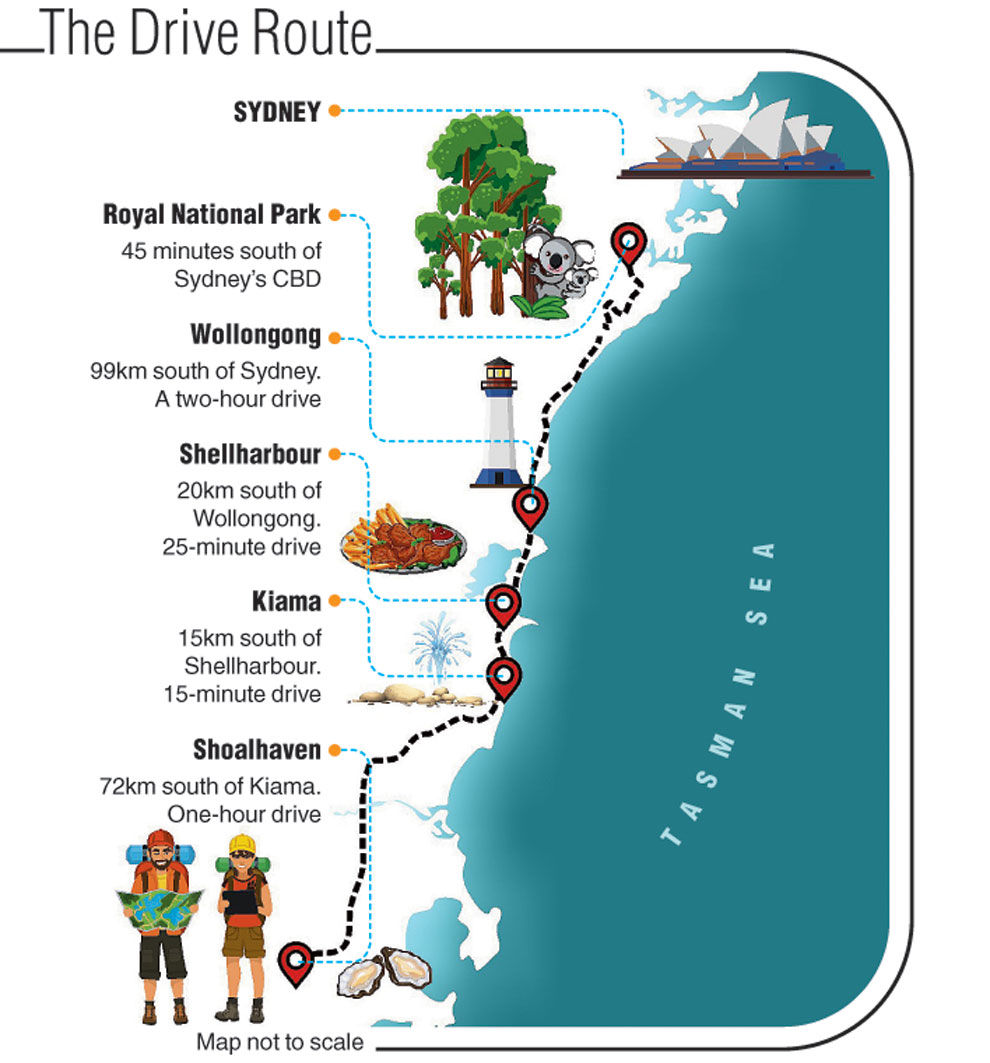 grand pacific drive map Eat Australia S Best Roo Stew On Grand Pacific Drive Telegraph India grand pacific drive map