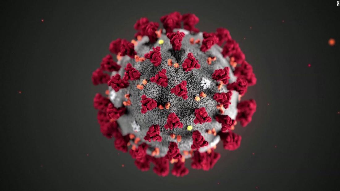 Scientists studied the genes of the coronavirus