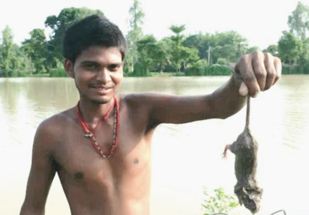 A villager holds a rat in Katihar district