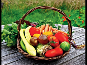 Want to grow your own veggies? Follow Mark’s episodes, The Ten Minute Gardener.