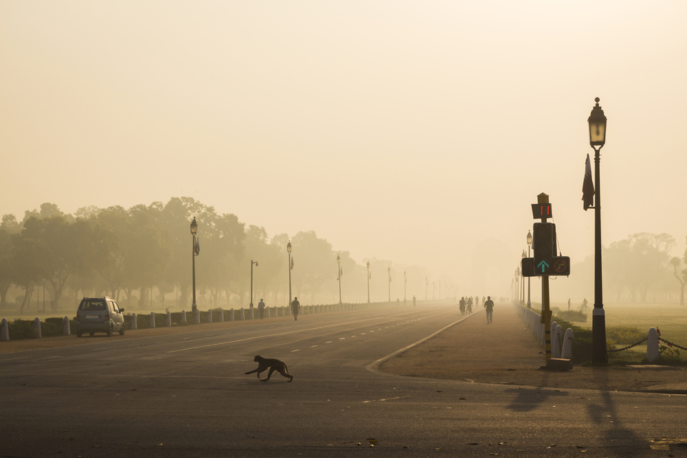 A view of Rajpath in New Delhi during winter season