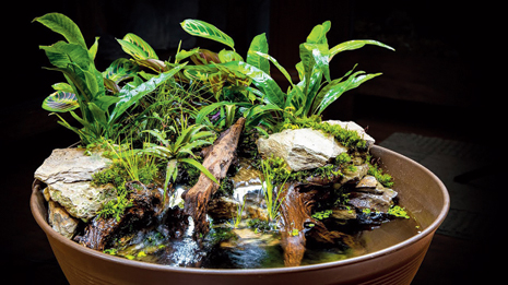 These terrariums are beautiful and no matter where you place them