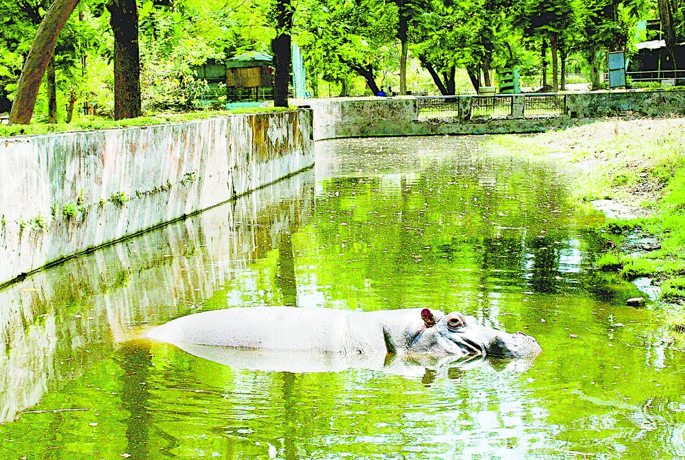 Mercury rising, pray for a storm - Telegraph India