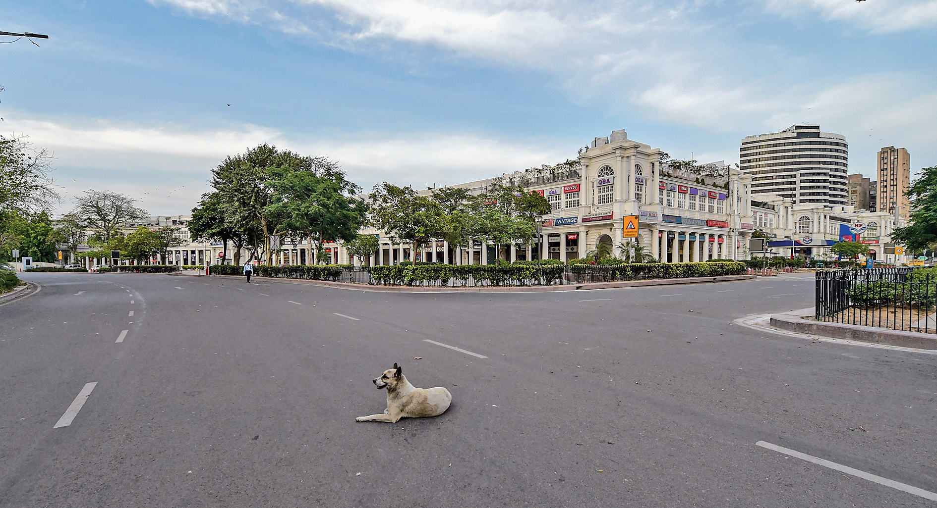 A dog lords it over a deserted road at Connaught Place in New Delhi on Monday. 
