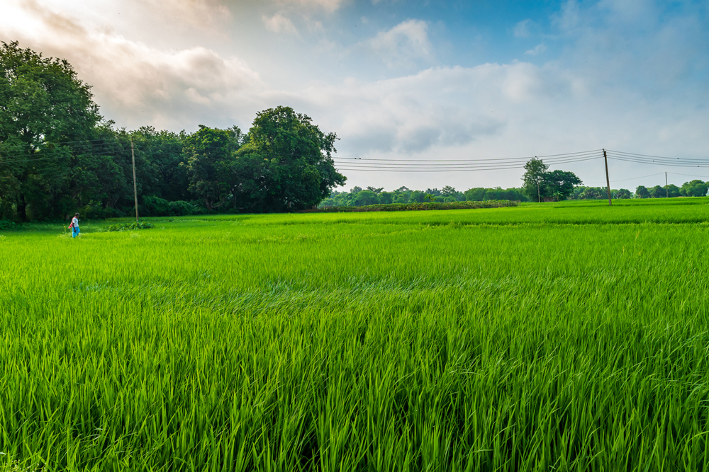 Nabard expects the credit potential for the priority sector in Bengal to rise 21 per cent in 2020-21