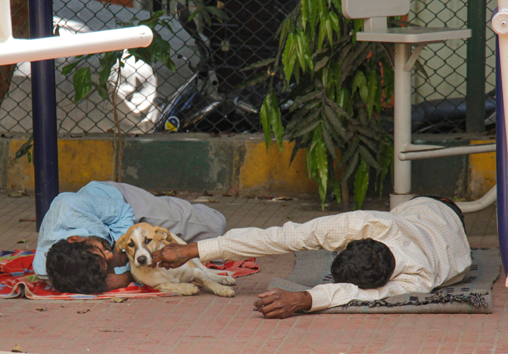 Two homeless persons play with a stray dog in Bangalore on Monday