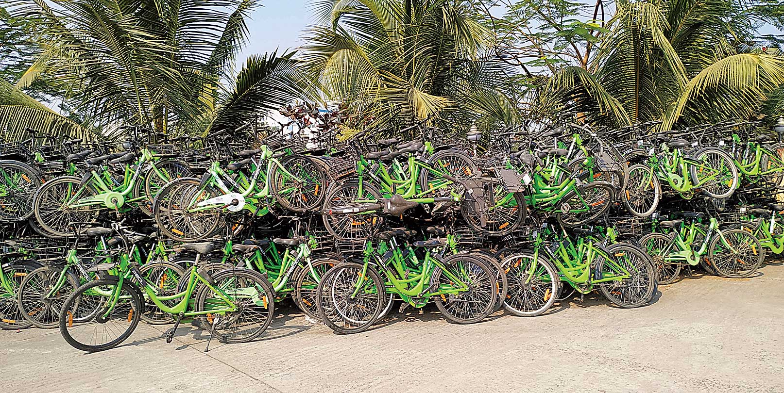 The cycles rolled out by the app-based service provider have been withdrawn and stacked along a road near the New Town bus stop. The company will soon introduce new cycles.
