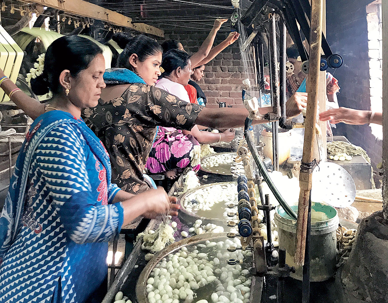 The family-run sericulture unit is mostly run by women with the matriarch giving way to her daughter-in-law Akhlima (left) in this fourth-generation family business