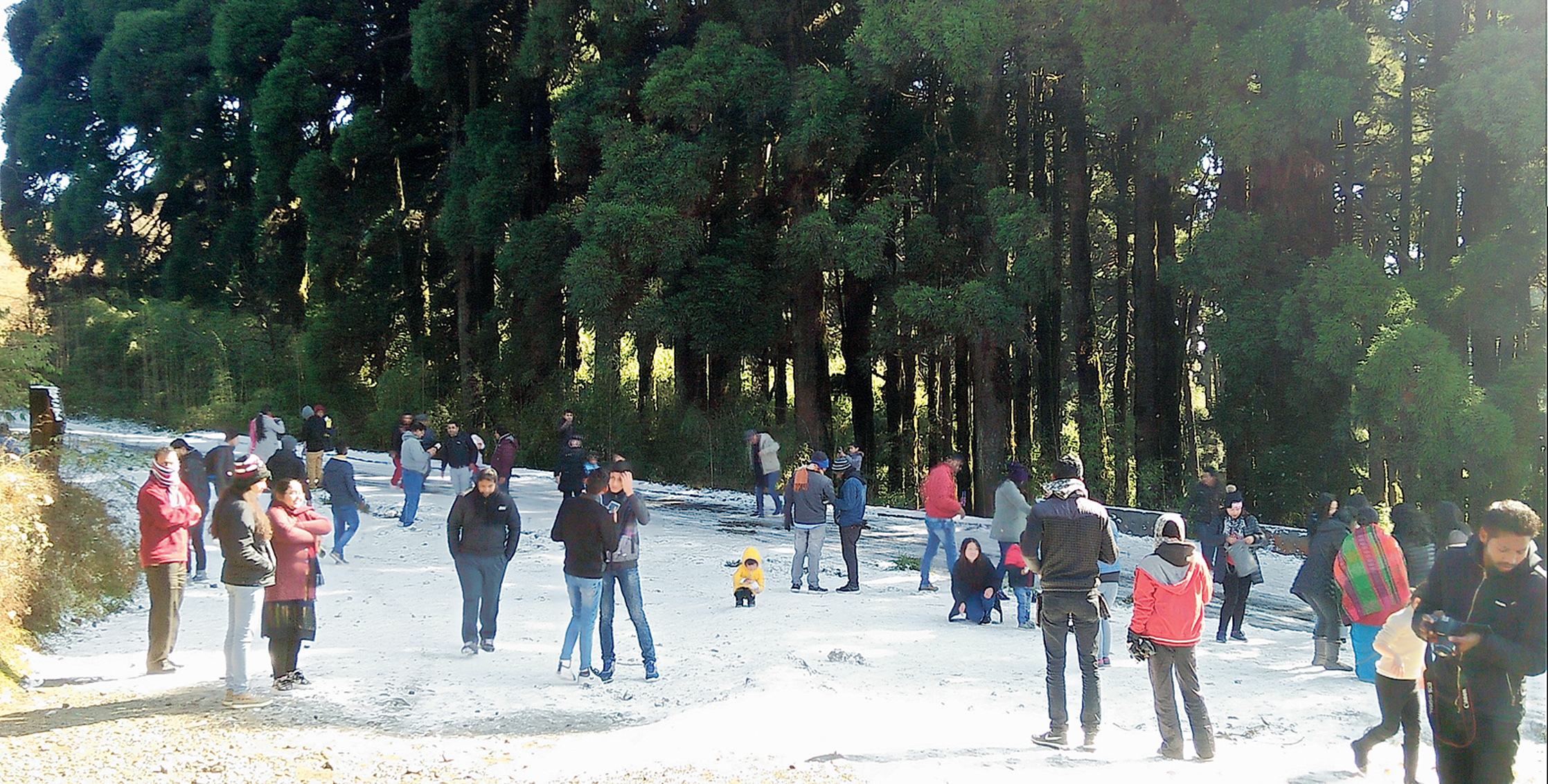 In Darjeeling Party Begins Below Freezing Point Telegraph India