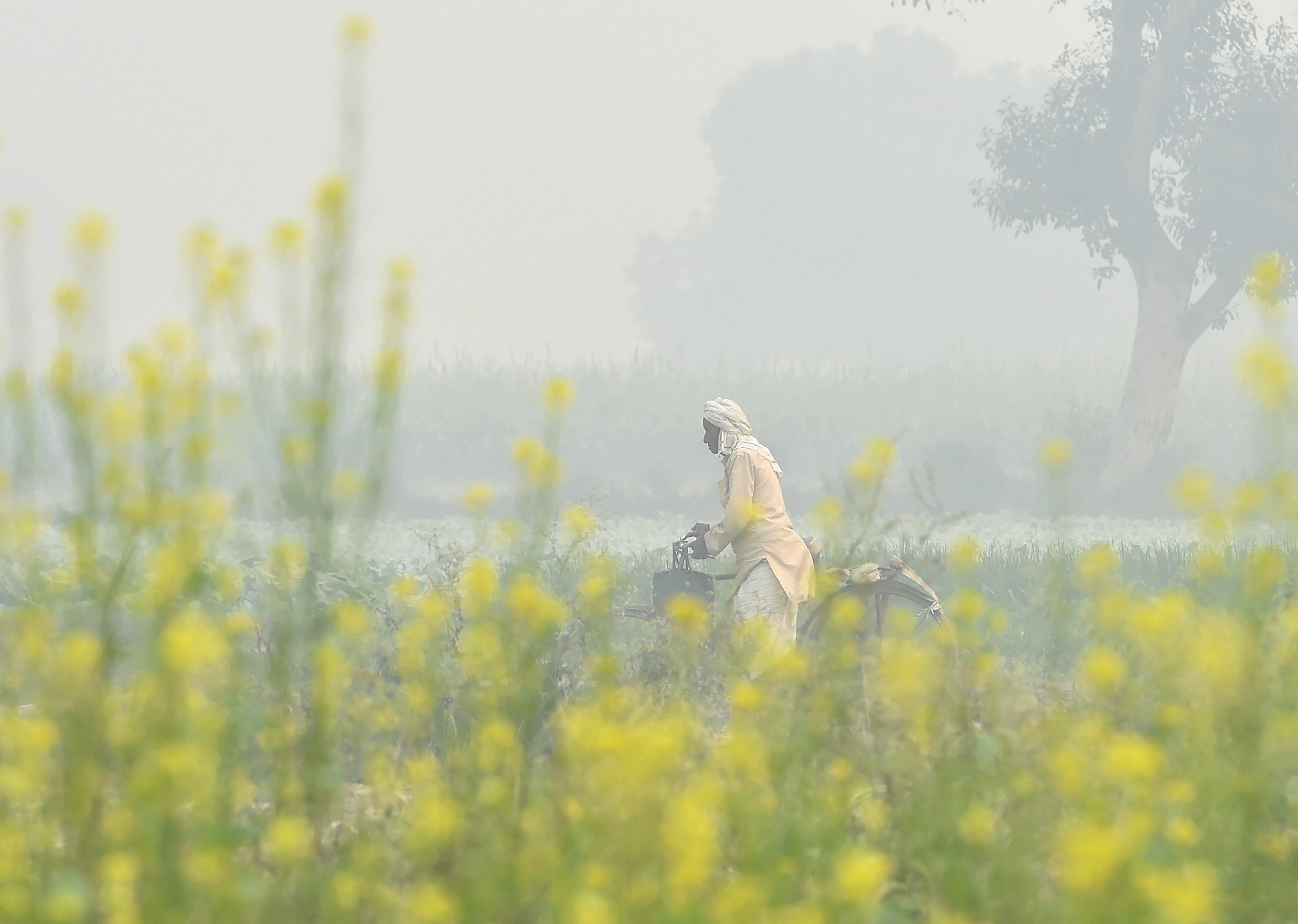 A cyclist walks across a field engulfed in a thick haze in New Delhi on Thursday, November 8.