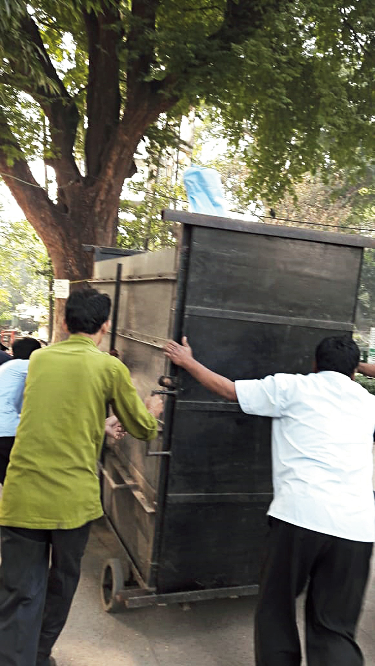The ostrich, with its head covered in a piece of perforated cloth, is transported to its new enclosure.