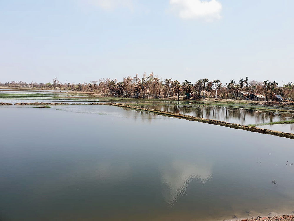 Flooded farmlands in the Sunderbans