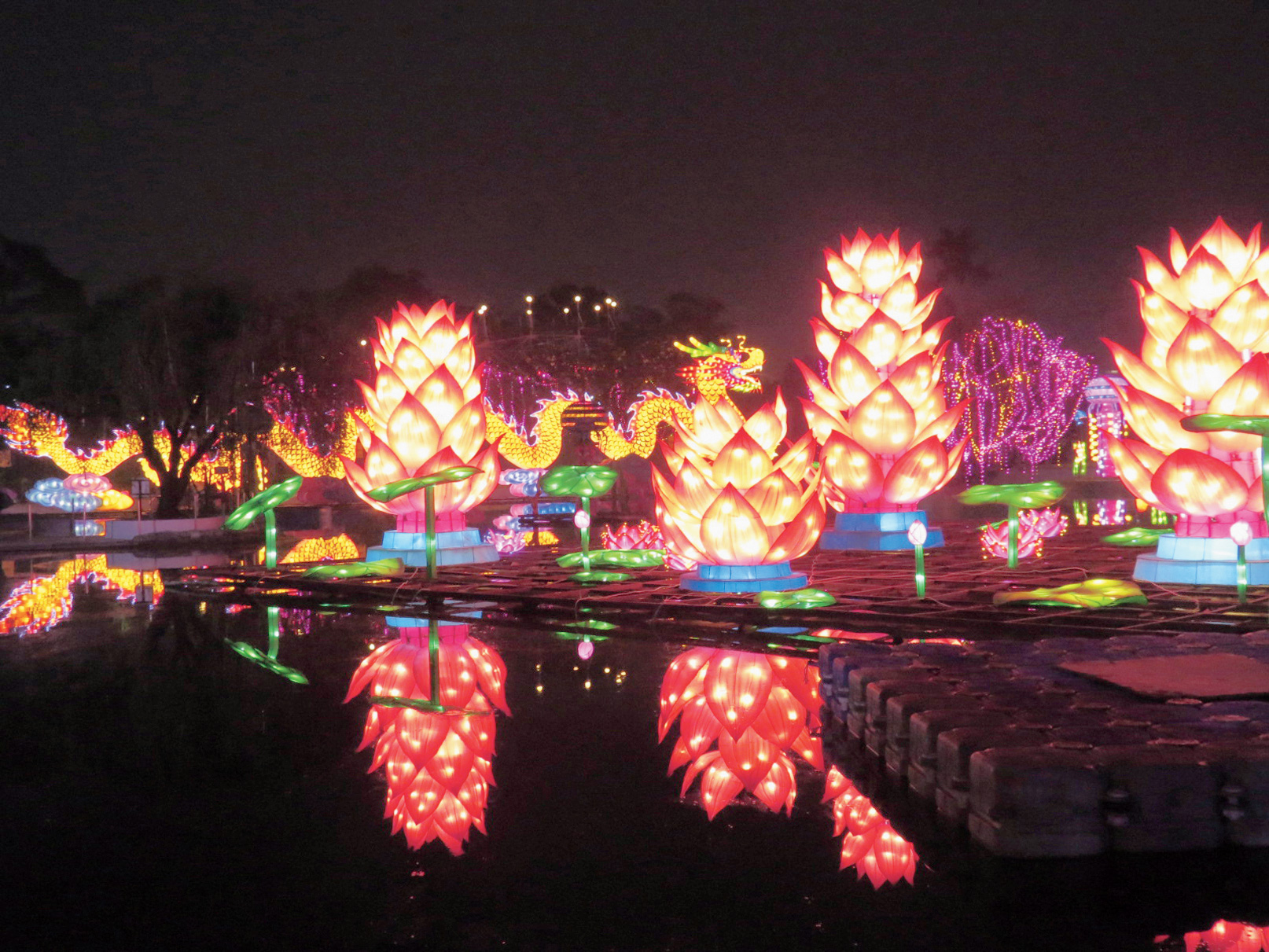 A lotus pond. The flower is associated with the sitting Buddha in China.