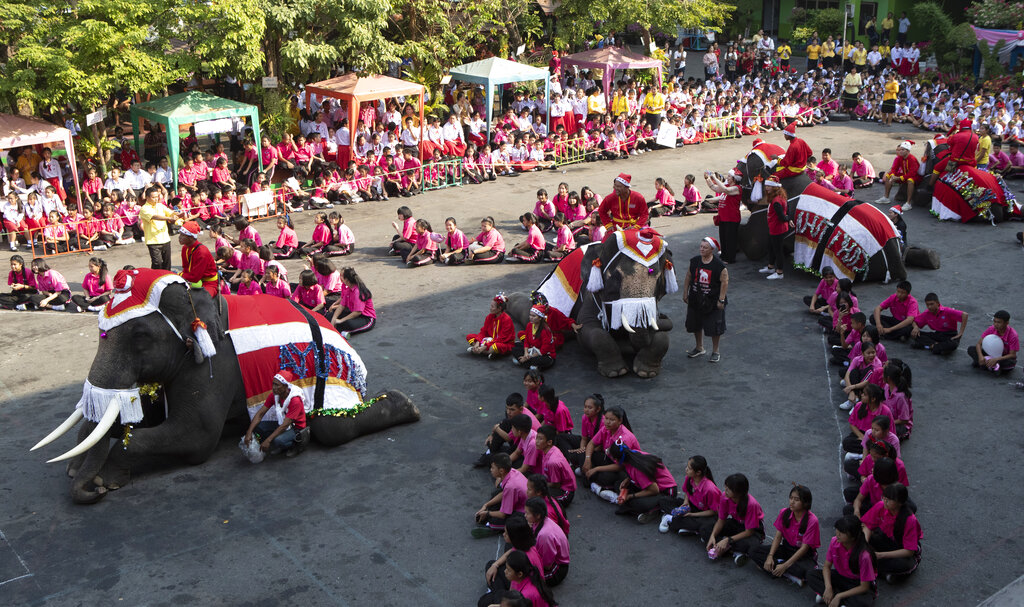 Elephants dressed in Santa Claus costumes sit with students at the Jirasartwitthaya school during Christmas celebrations in Ayutthaya province, north of Bangkok, Thailand.